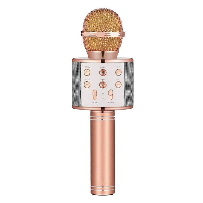 Wireless Portable Bluetooth Karaoke Microphone