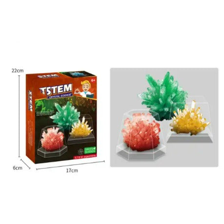 Educational Science Kits Crystal Growing Kit for Kids
