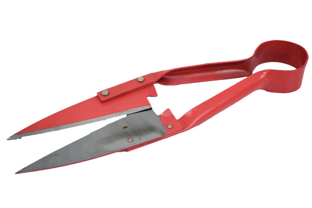 Bulk Pack 5x Shears Sheep 320mm Zenith