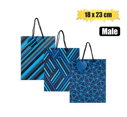GIFT-BAG PAPER MED 18x23cm EVERY MALE