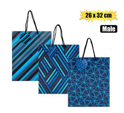 GIFT-BAG PAPER LRG 26x32cm EVERY MALE
