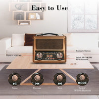 RAISENG R-2055BT Portable Radio FM AM SW Stereo Kitchen Retro Radio, Multi Power Supply, Strong Function Audio Bluetooth Radio, Supports TF Card, USB Disk, Speaker Play for Outdoor & Indoor