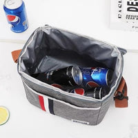 Brivilas - Insulated Lunch /Picnic Bag with shoulder strap