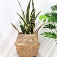 Seagrass Belly Planter Basket - Medium