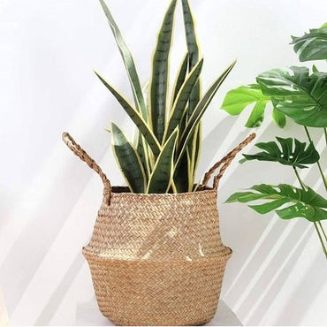 Seagrass Belly Planter Basket - Medium