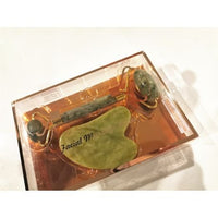 Kissinger Facial Jade Roller Massager & Gua Sha Set - Genuine Jade