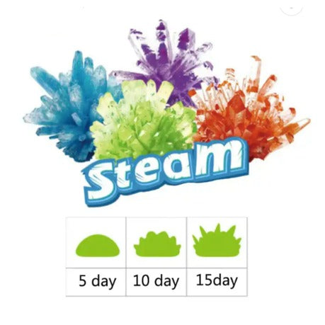 Educational Science Kits Crystal Growing Kit for Kids