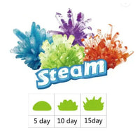 Educational Science Kits Crystal Growing Kit for Kids