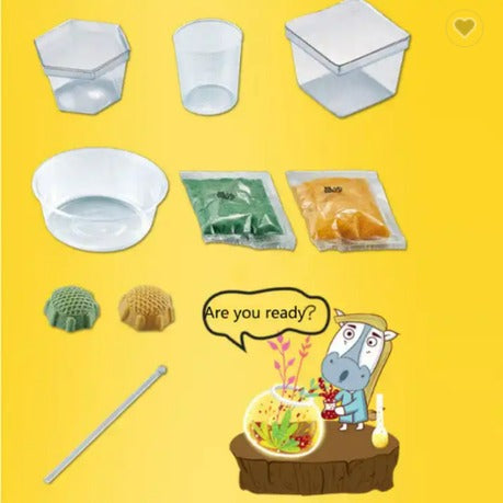 Educational Science Kits Crystal Growing Kit for Kids