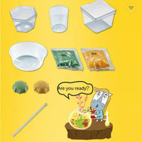 Educational Science Kits Crystal Growing Kit for Kids